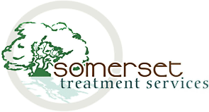 Somerset Treatment Services